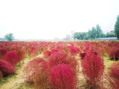 -汉长安城未央宫国家考古遗址公园