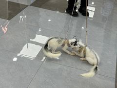 -王府井百货熙地港店