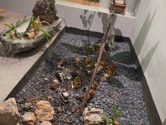 -本处·素食·融合料理(南油店)