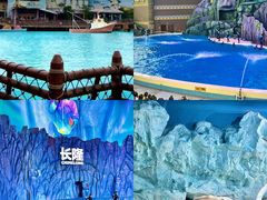 -珠海长隆海洋王国