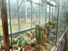 -国家植物园南园