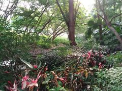 -人民公园(罗湖区)