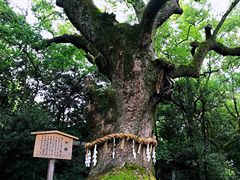 -热田神宫