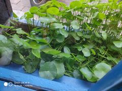 -小小河边鱼(天润城店)