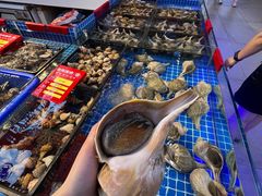 -驻海渔市(置信店)