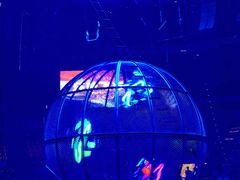 -俄罗斯国家大马戏团