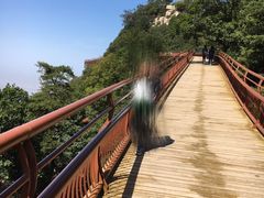 -少华山国家森林公园