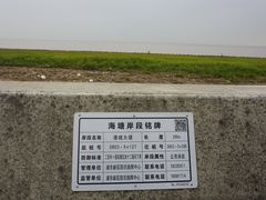 -南汇嘴观海公园