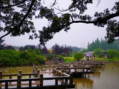 -江心屿景区
