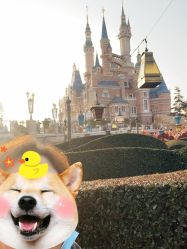 -翱翔飞越地平线