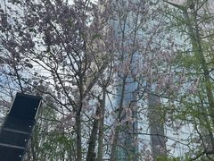 -成都市活水公园
