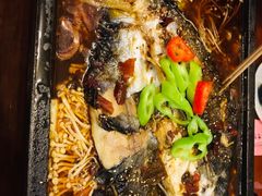 -金雨烧烤(新城南都店)