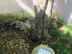 -秋霞圃