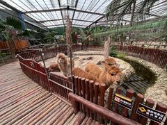 -呀路古热带植物园