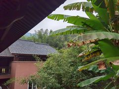 -千岛湖石林