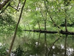 -阿哈湖国家湿地公园