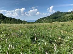 -白草畔自然风景区