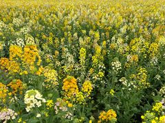 -中国天府农业博览园