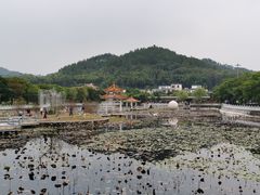 -红山村