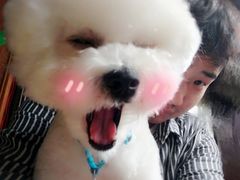 -宠屋宠物美容店