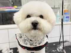 -1013 PET SHOP 宠物商店(近铁城市广场店)