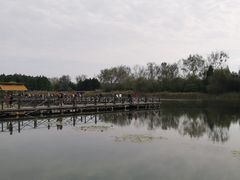 -溱湖国家湿地公园