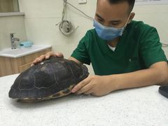 -瑞鹏宠物医院·微创内窥镜·骨外科·牙科(翠竹分院)