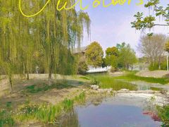 -武汉园博园(武汉自然博物馆)