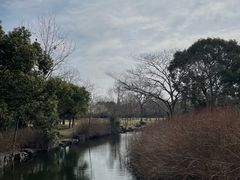 -上海滨江森林公园