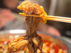 -宽口美蛙鱼头(大唐西市店)