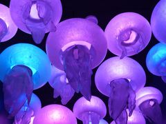 -暹罗海洋世界