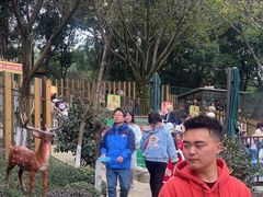 -成都欢乐谷