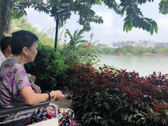 -惠州西湖丰渚园