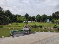 -铁山坪森林公园