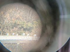 -下渚湖国家湿地公园科普馆