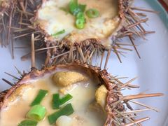 -海胆小馆(东北水饺·春柳店)