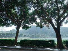 -风云岭森林公园