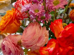 -Mesa Madre梅萨妈妈·Bintana(国贸店)