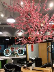 -时尚殿堂明星门店