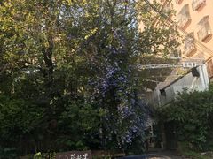 -花苑里咖啡(威远店)