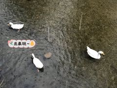 -北京水岸山吧度假村(雁栖镇店)