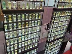 -广东中医药博物馆
