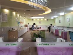 -生命加•Q考拉月子会所(玫瑰园店)
