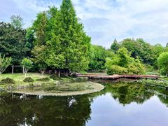 -月湖风景区