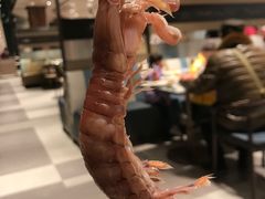 -厦门艾美酒店·新食谱西餐厅