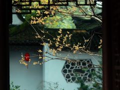 -上海醉白池公园