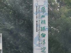 -白洋淀景区