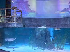 -沈阳海洋探索中心