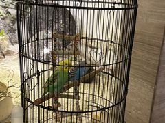 -云中漫步·足疗养生会馆(金开店)