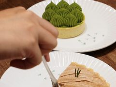 -猫里有甜